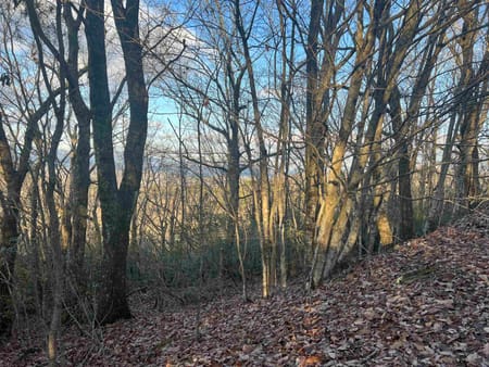 Cleveland, GA 30528 White County
