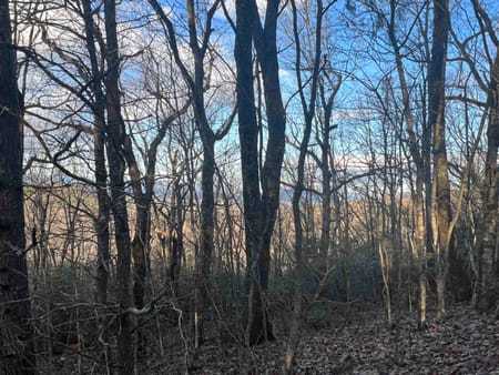 Cleveland, GA 30528 White County