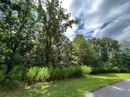Cleveland, GA 30528 White County
