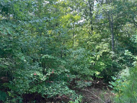 Cleveland, GA 30528 White County