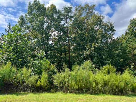 Cleveland, GA 30528 White County