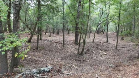 St. George, GA 31562 Charlton County