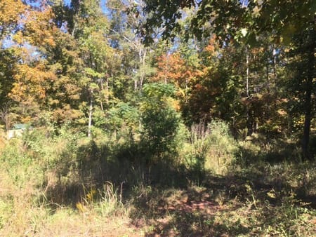 Milledgeville, GA 31061 Baldwin County