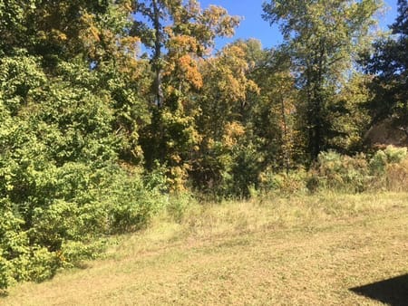 Milledgeville, GA 31061 Baldwin County