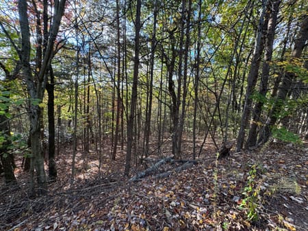 Clarkesville, GA 30523 Habersham County