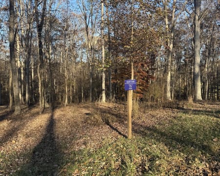 Statham, GA 30666 Oconee County