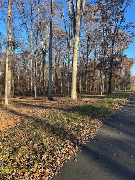 Statham, GA 30666 Oconee County