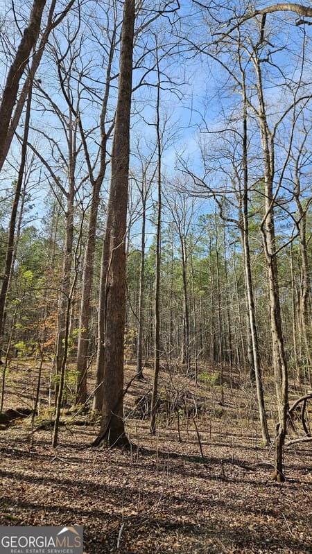 Madison, GA 30650 Morgan County