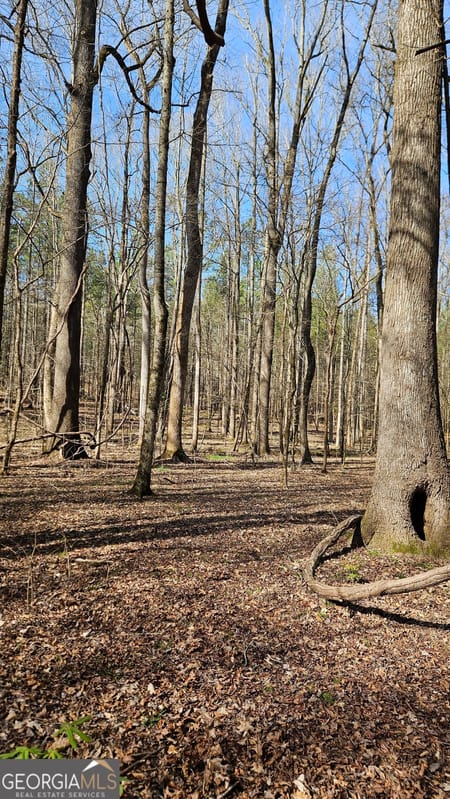 Madison, GA 30650 Morgan County