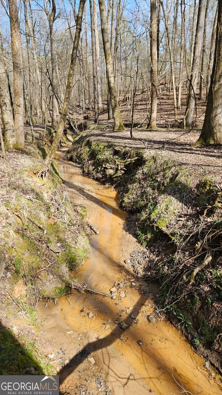 Madison, GA 30650 Morgan County