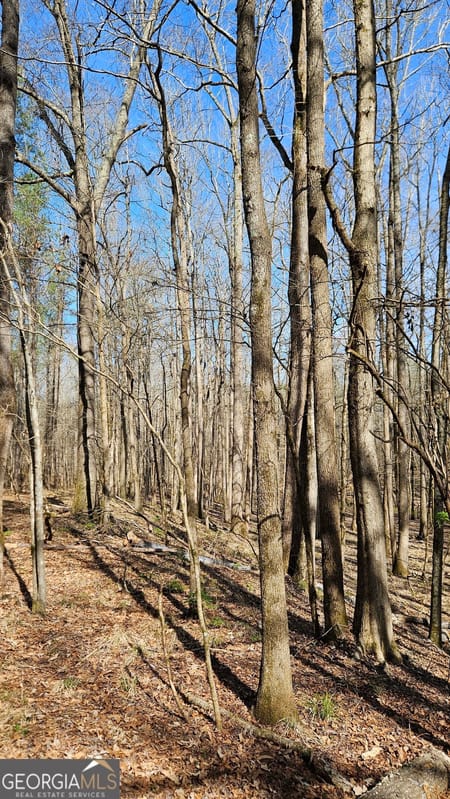 Madison, GA 30650 Morgan County