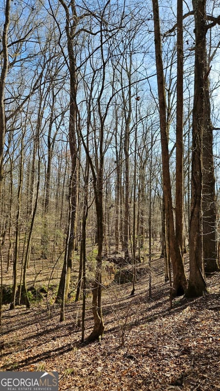 Madison, GA 30650 Morgan County