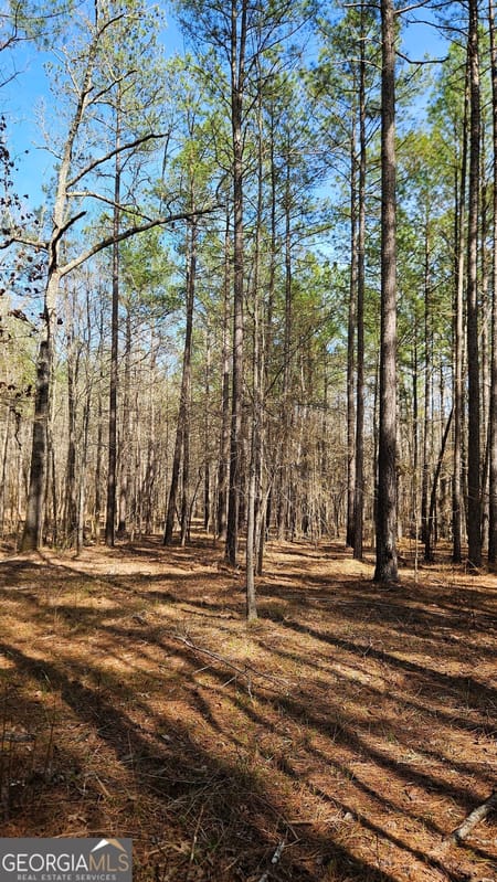 Madison, GA 30650 Morgan County