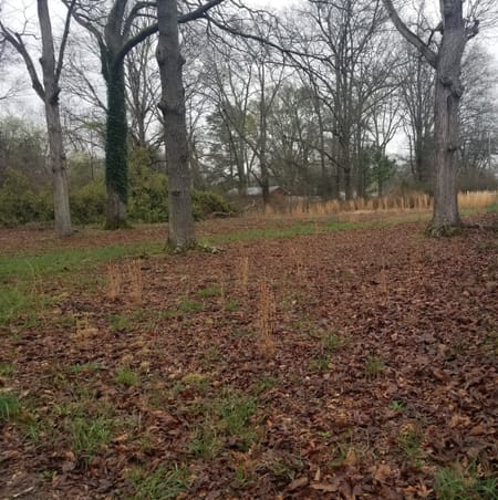 Statham, GA 30666 Barrow County