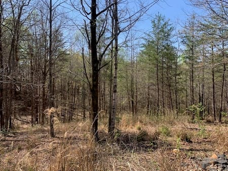 Cleveland, GA 30528 White County