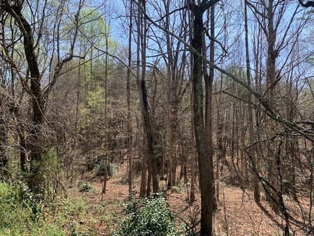 Cleveland, GA 30528 White County
