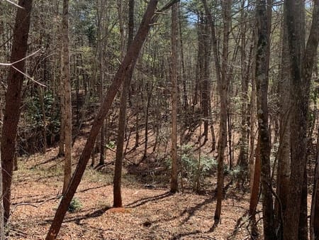 Cleveland, GA 30528 White County
