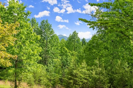 Sautee Nacoochee, GA 30571 White County