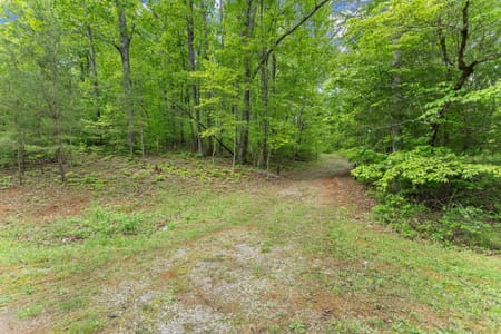 Sautee Nacoochee, GA 30571 White County