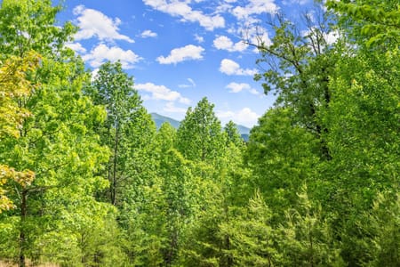 Sautee Nacoochee, GA 30571 White County
