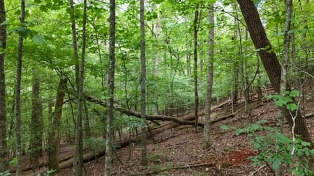 Cleveland, GA 30528 White County