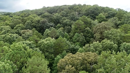 Cleveland, GA 30528 White County