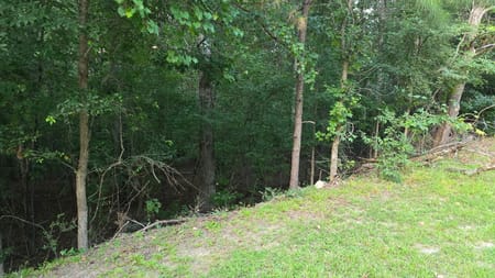 Snellville, GA 30039 DeKalb County