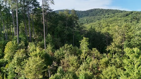 Sautee Nacoochee, GA 30571 White County