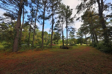 Ochlocknee, GA 31773 Thomas County