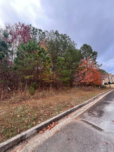 Stone Mountain, GA 30087 DeKalb County