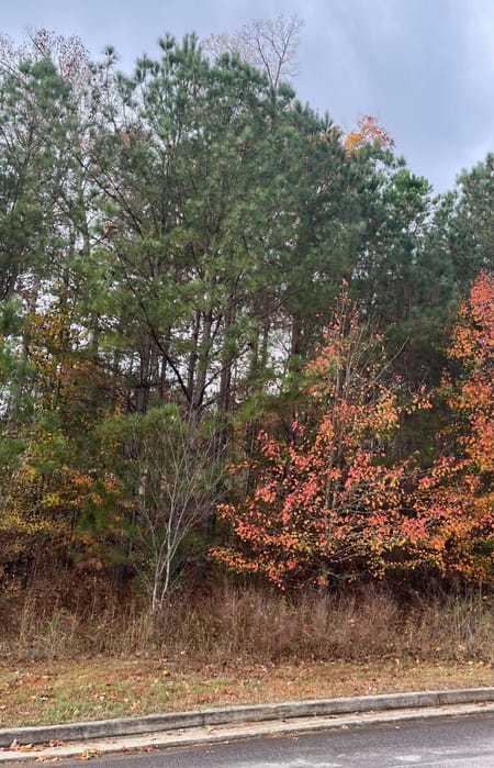 Stone Mountain, GA 30087 DeKalb County