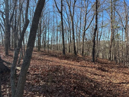 Dawsonville, GA 30534 Lumpkin County
