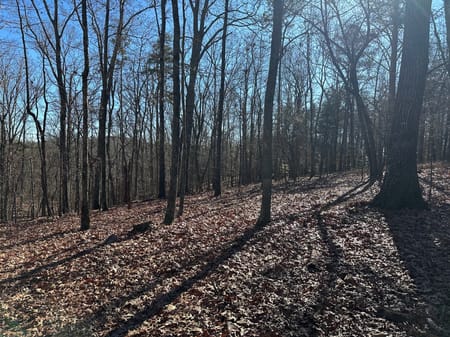 Dawsonville, GA 30534 Lumpkin County