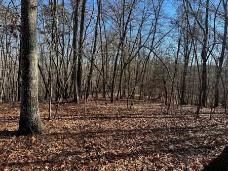 Dawsonville, GA 30534 Lumpkin County