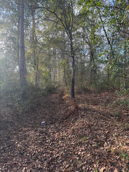 St. George, GA 31562 Charlton County