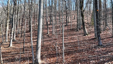Cleveland, GA 30528 White County