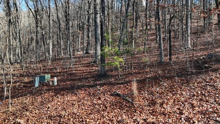 Cleveland, GA 30528 White County