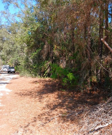 Folkston, GA 31537 Charlton County