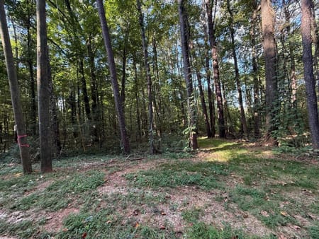 Stone Mountain, GA 30088 DeKalb County