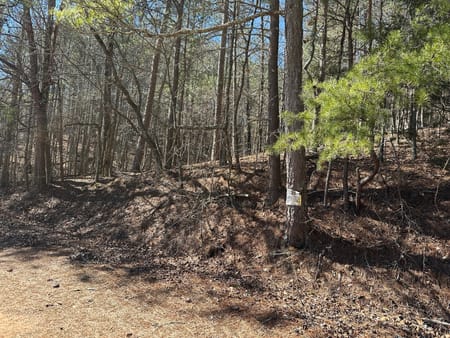 Cedartown, GA 30125 Polk County