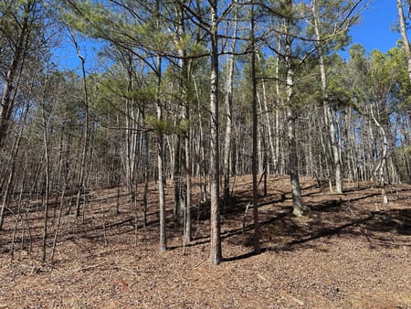 Cedartown, GA 30125 Polk County