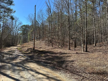Cedartown, GA 30125 Polk County