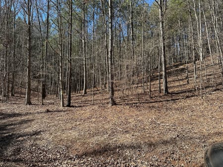Cedartown, GA 30125 Polk County
