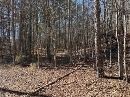 Cedartown, GA 30125 Polk County