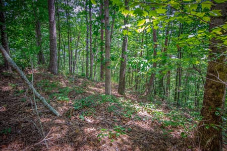Talking Rock, GA 30175 Gilmer County
