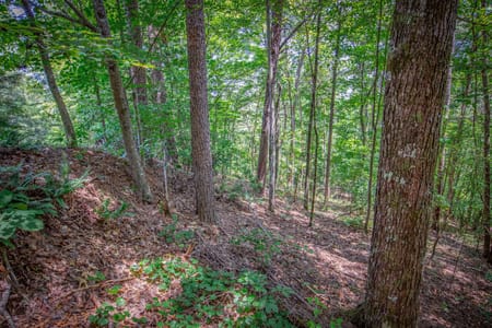 Talking Rock, GA 30175 Gilmer County