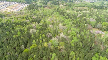 Ellenwood, GA 30294 DeKalb County
