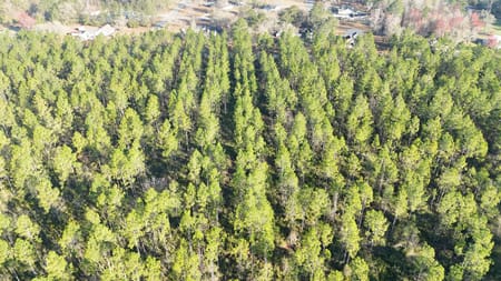 Homeland, GA 31537 Charlton County