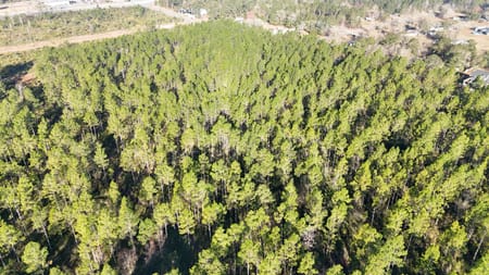 Homeland, GA 31537 Charlton County