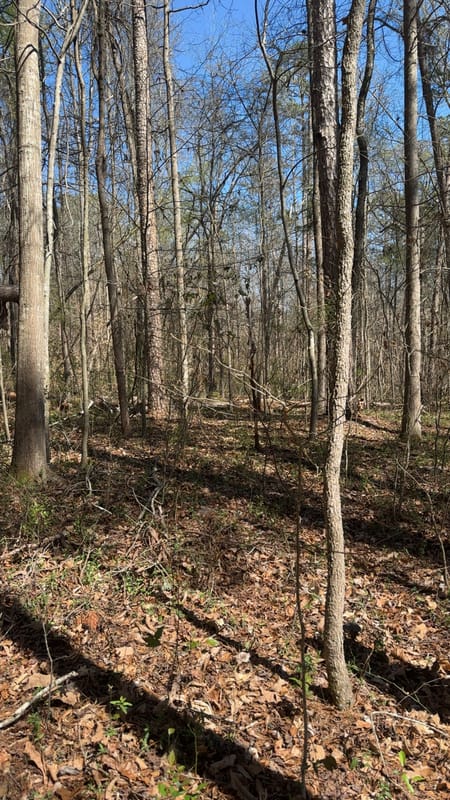 Carnesville, GA 30521 Franklin County